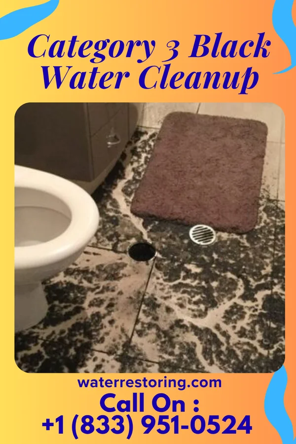 Category 3 Black Water Cleanup in Paradise Hill, OK