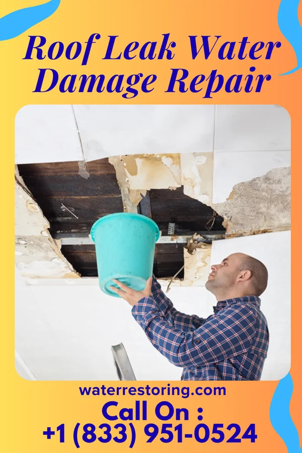 Roof Leak Water Damage Repair in Paradise Hill, OK